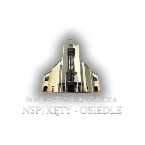 Synergroup - 2025-11-20