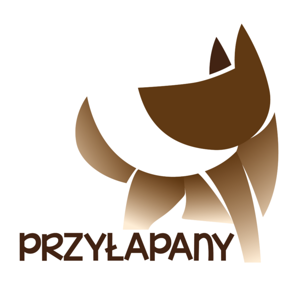 Synergroup - 2025-11-20